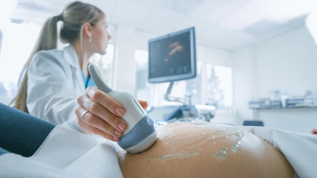Female Ultrasound Technologist Performing A Fetal Ultrasound On Pregnant Patient